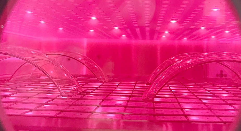 91香蕉视频IOS下载体处理表面可以明显改善哪些性能