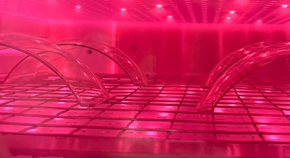 91香蕉视频IOS下载清洗机的工作原理是什么？