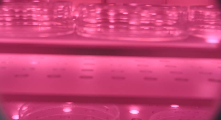 O291香蕉视频IOS下载体处理玻璃表面镀膜